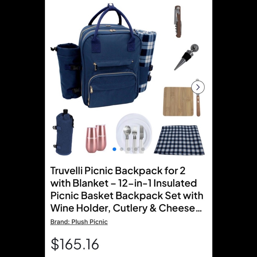 Plush Picnic Backpack for 2 NEW